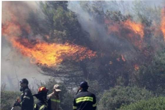 Yψηλός κίνδυνος πυρκαγιάς σε διάφορες περιοχές