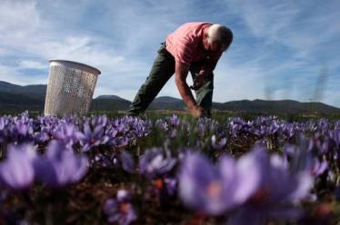 Από 30 Νοεμβρίου 12% αύξηση στις εισφορές ΟΓΑ