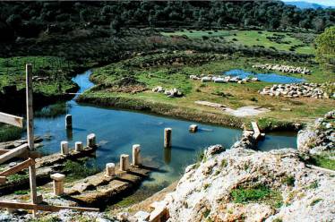 Πολιτισμός, Τουρισμός και Δημιουργικοί κλάδοι οικονομικής δραστηριότητας