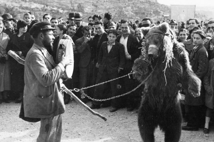 “Κρυμμένες αρκούδες” στον Δήμο Ξηρομέρου