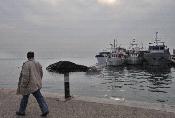 Ξεκινά η υποχρεωτική υποβολή μηνιαίων δελτίων παραγωγής αλιευμάτων
