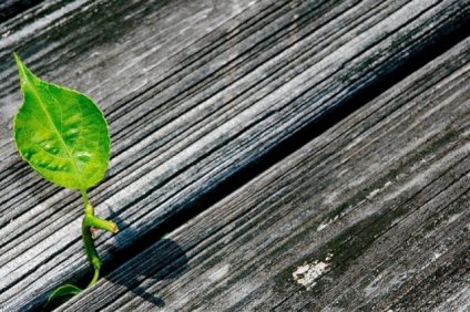 Σύσκεψη για τις Ολοκληρωμένες Χωρικές Επενδύσεις στο πλαίσιο του ΕΣΠΑ…