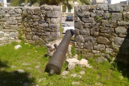 Δήλωση Γιαννόπουλου για τα κανόνια του Μεσολογγίου