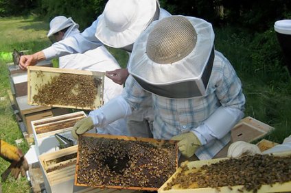 Ημερίδα μελισσοκομίας την Κυριακή 27 Μαρτίου του 2016 στο Θέρμο.