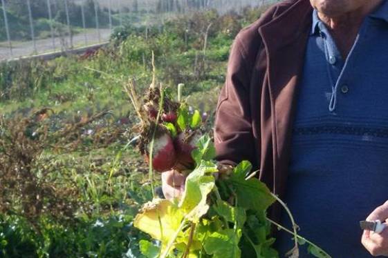 Ξεκινούν στις 18 Μαΐου οι καλλιέργειες κηπευτικών στο Δημοτικό Λαχανόκηπο Αγρινίου