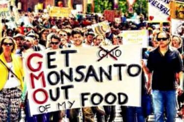 Βayer – Monsanto: Ένας διαβολικός γάμος XBusiness