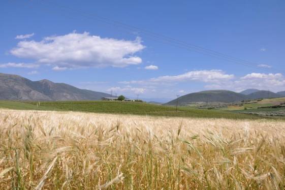 Η χαμένη υπόθεση της διατροφικής αυτάρκειας