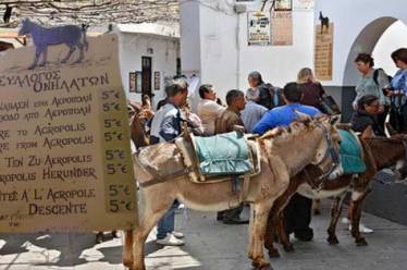 Ο ΣΔΟΕ κόβει πρόστιμα και στα… γαϊδούρια!