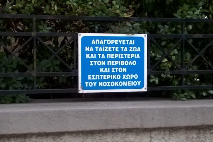 Μη ταΐζετε τα περιστέρια…*