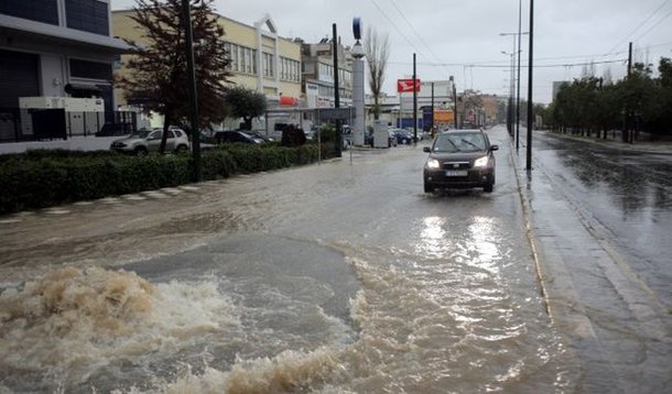 Αποζημιώσεις πληγέντων σε φυτικό και ζωικό κεφάλαιο