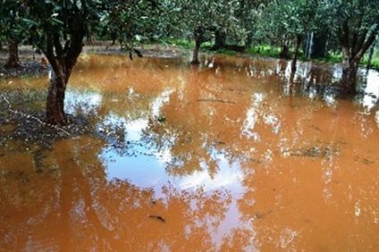 Πλημμυρισμένα τα λιοστάσια