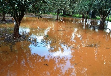 Πλημμυρισμένα τα λιοστάσια