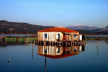 Ημερίδα για την Λιμνοθάλασσα Μεσολογγίου – Αιτωλικού και τις Αλυκές