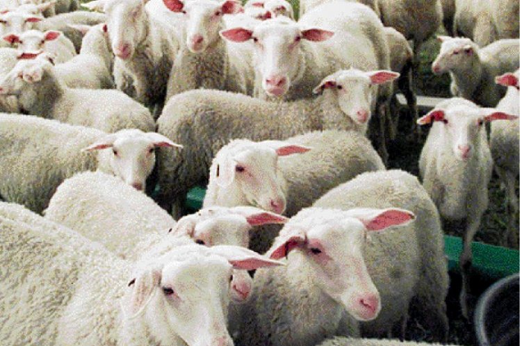 Προχωρούν γοργά οι διαδικασίες για το Πρόγραμμα Μελιταίου Πυρετού