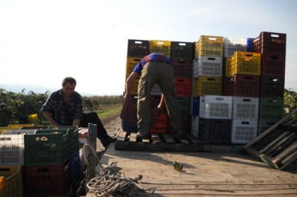 Εντός διμήνου η πληρωμή παραγωγών από τους εμπόρους με νομοθετική…