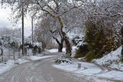 Επί ποδός η Περιφέρεια Δυτικής Ελλάδας – Σε πλήρη εξέλιξη…