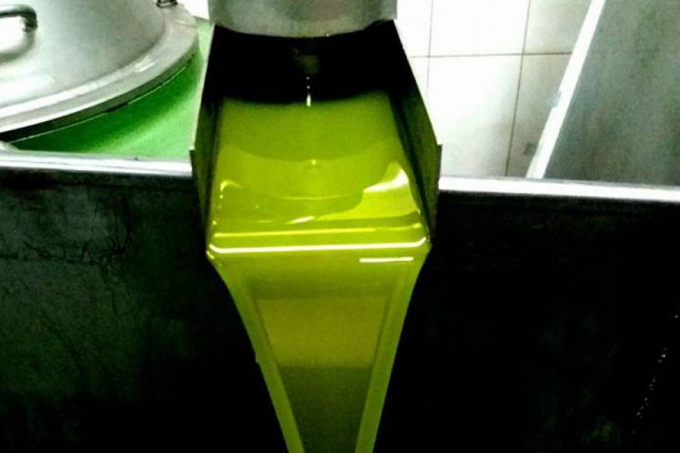 Ημερίδα για την ενίσχυση της ανταγωνιστικότητας του ελαιολάδου