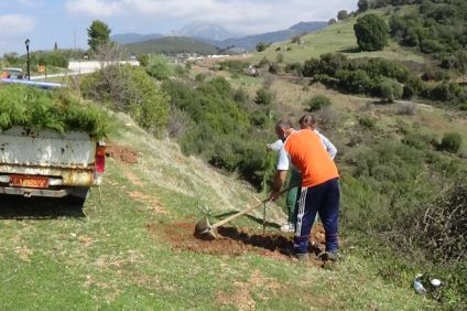 Δενδροφύτευση στο Μέγα Δένδρο