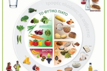 Ένας χρήσιμος οδηγός με όλες τις πληροφορίες για την Φυτική…