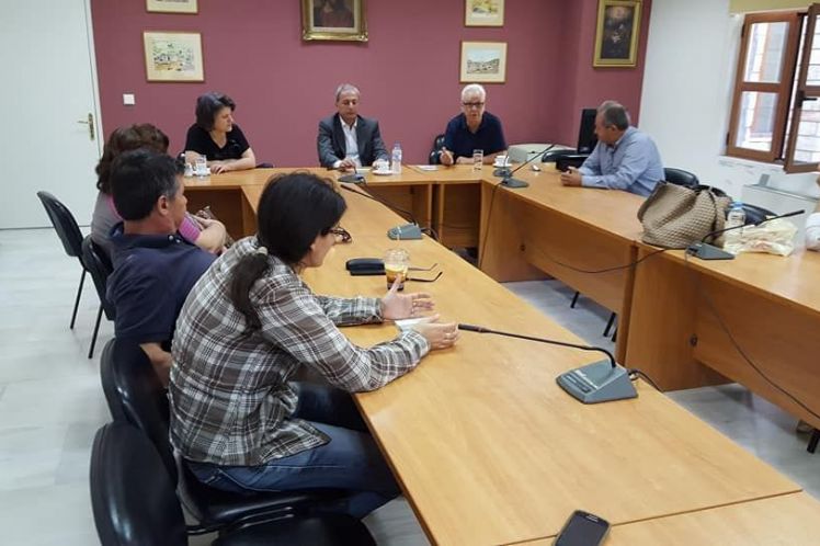 Θερμο: Μεταχρωματικό έλκος του πλατάνου