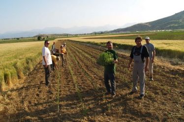 Ανοιχτή επιστολή Φαρμάκη για συνεταιρισμούς