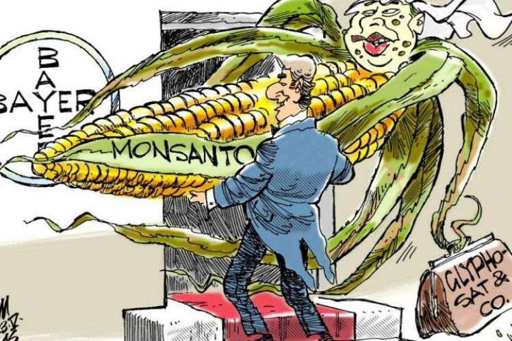 Monsanto – Bayer: Έρευνα της Κομισιόν για τον «γάμο της κόλασης»