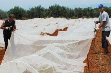 Βιβλίο προσωπικού μόνο για αγρότες που απασχολούν μισθωτούς εργάτες