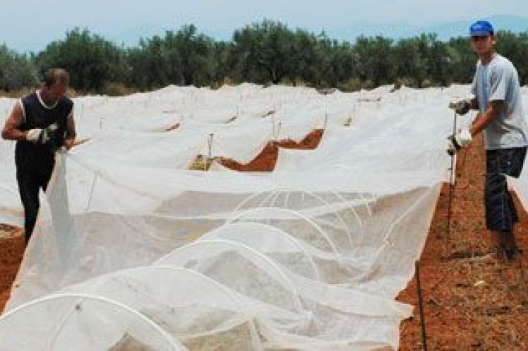 Βιβλίο προσωπικού μόνο για αγρότες που απασχολούν μισθωτούς εργάτες