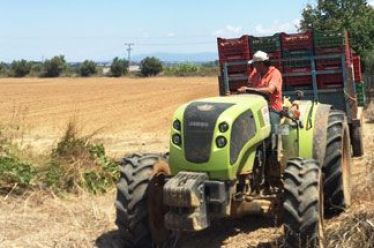 Ξεκίνησαν οι πληρωμές νέων αγροτών, η πρώτη δόση θα φτάσει…