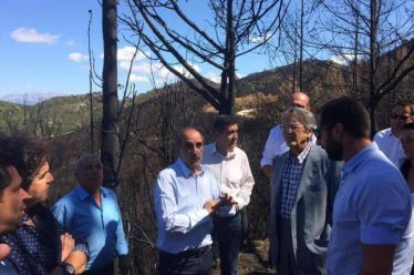 Στις καμένες περιοχές της Δυτ. Αχαϊας ο Γεν. Γραμματέας Αγροτικής…