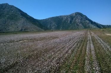 Βαρεμένος: Χωράφια σε νέους αγρότες