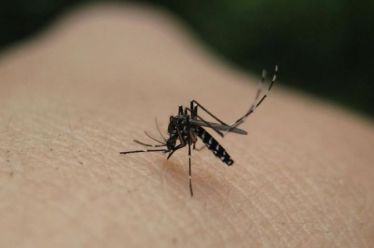 ΚΕΕΛΠΝΟ: Συνάντηση ενημέρωσης κοινού για την ελονοσία