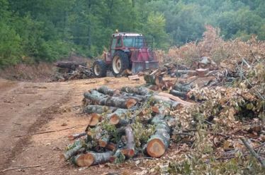 Συνεχίζεται η καταστροφή του βουνού στις Σκουριές