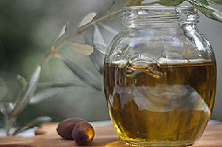 Συμβουλές για την σωστή συγκομιδή ελαιοκάρπου προκειμένου να διασφαλιστεί η άριστη ποιότητα ελαιόλαδου