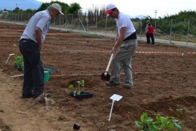 Βράβευση καλύτερων κηπουρών από τον Δήμο Αγρινίου