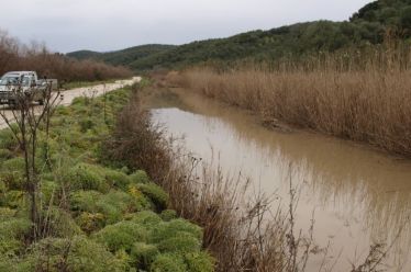 Συντήρηση των αποστραγγιστικών τάφρων του Νεοχωρίου