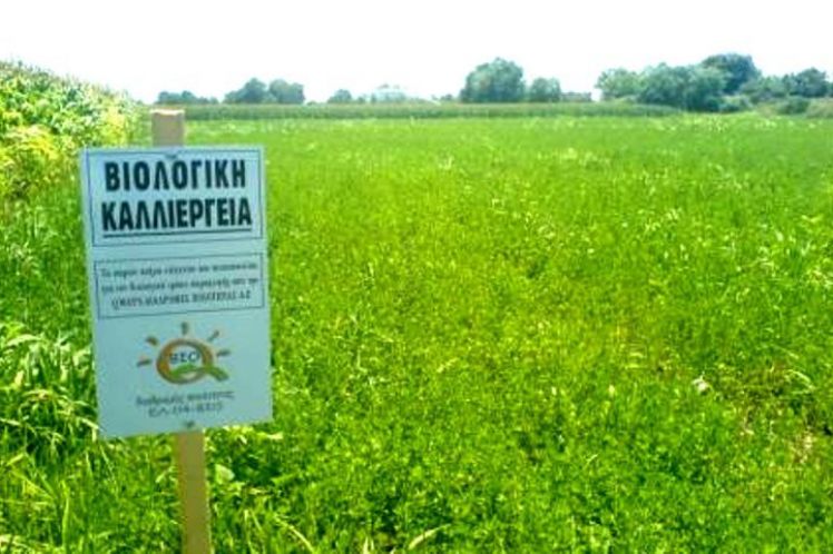 Έλλειψη παραστατικών διαπιστώνει ο έλεγχος στο πρόγραμμα βιολογικής καλλιέργειας