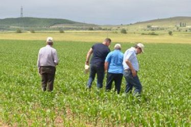 Σύσταση ομάδων και οργανώσεων παραγωγών: Κριτήρια, δικαιούχοι, δικαιολογητικά και είδος…