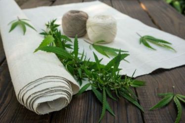 Η 1η Διεθνής Έκθεση Κάνναβης στην Ελλάδα είναι γεγονός