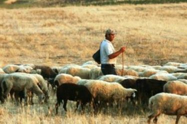 Εξισωτική Αποζημίωση 2017: Ξεκίνησαν οι ενστάσεις, πληρωμή θα γίνει μετά…