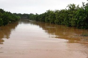 ΕΛΓΑ: Από 31 Ιανουαρίου μέχρι 1 Μαρτίου καλούνται οι παραγωγοί…