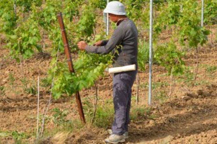 Σε ποιες περιπτώσεις γεωργοί και κτηνοτρόφοι θα κληθούν να πληρώσουν τέλος επιτηδεύματος για το 2017 και σε ποιες όχι