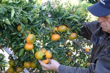 Αντίστροφη μέτρηση για να τρέξει ο εξωδικαστικός συμβιβασμός και για…