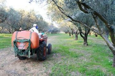 Πρόστιμα και κομπίνες με τις αγορές μη εγκεκριμένων φυτοπροστατευτικών από…