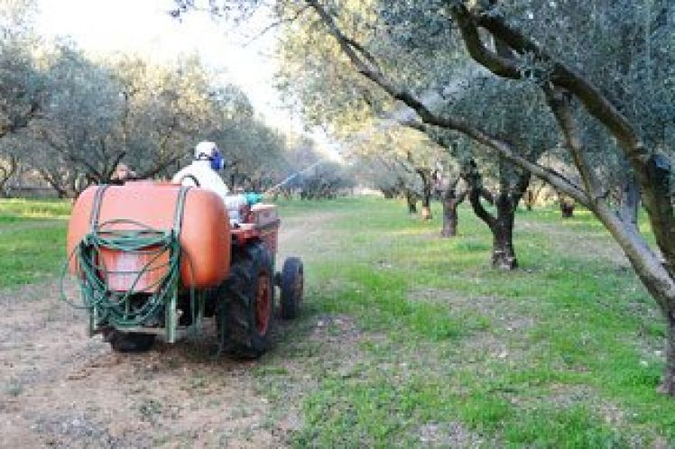 Πρόστιμα και κομπίνες με τις αγορές μη εγκεκριμένων φυτοπροστατευτικών από γειτονικές χώρες