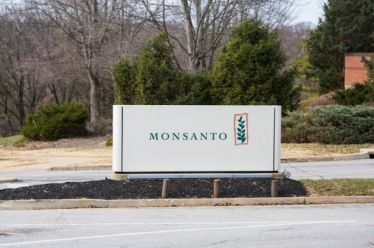 Καταδικάστηκε η Μonsanto για το Roundup
