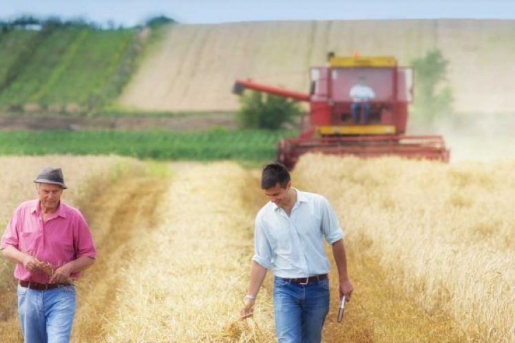 ΟΠΕΚΕΠΕ: Επτά περιπτώσεις αγροτών που δεν θα εισπράξουν προκαταβολή του τσεκ