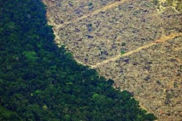 Αμαζόνιος: Ξεπέρασε τα 10.000 τετραγωνικά χιλιόμετρα η επιφάνεια δάσους που…