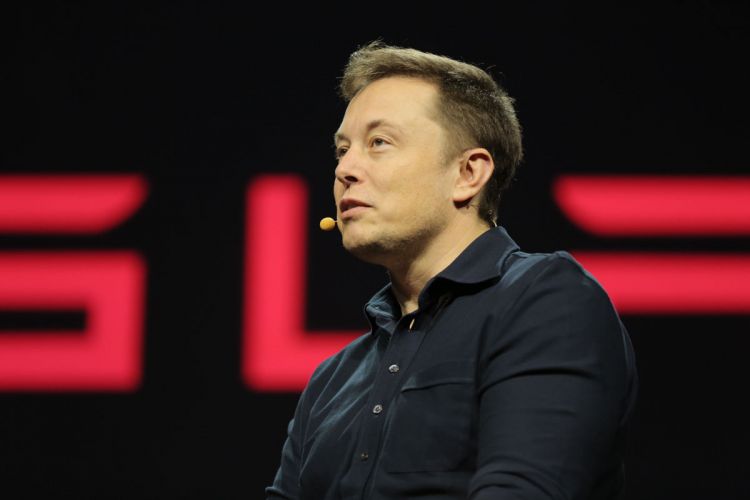 Image result for elon musk back