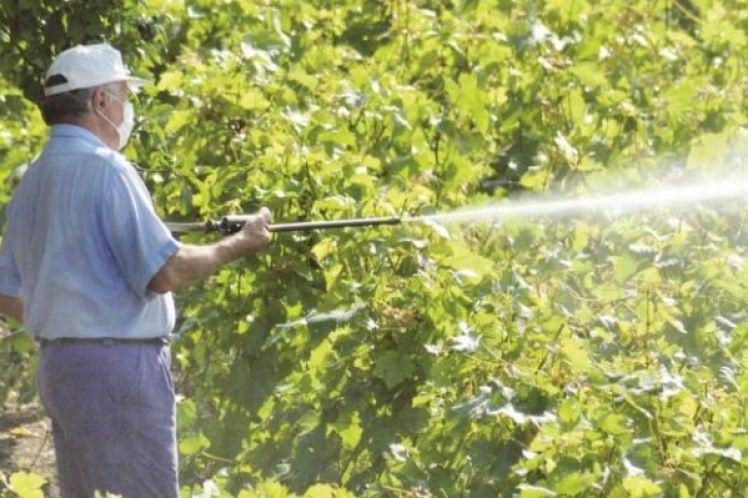 Βουτηγμένη στα φυτοφάρμακα η ύπαιθρος της Κρήτης